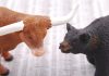 Cos’è il Campionato Top Trader di Borsa